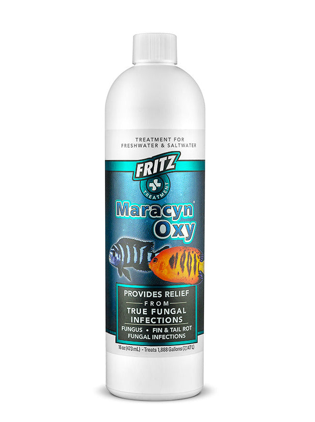 Maracyn Oxy 16 oz. - MoonlightAquatics