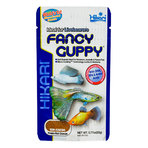 Hikari Fancy Guppy - MoonlightAquatics
