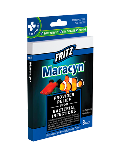 Fritz Maracyn