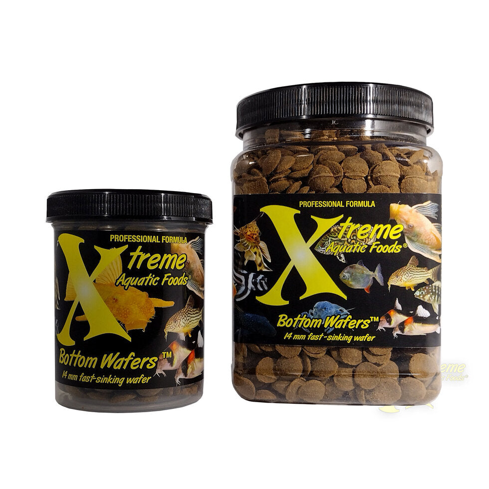 XTREME-Bottom Wafers-14mm sinking wafer - MoonlightAquatics